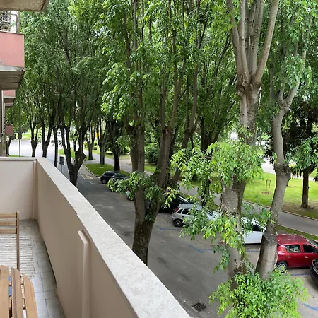 Incis Next To The Amphitheather *